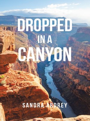 cover image of Dropped in a Canyon